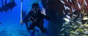 Diver underwater in scuba gear signals "OK" near a school of fish swimming alongside a rocky formation. Other divers are visible in the background.