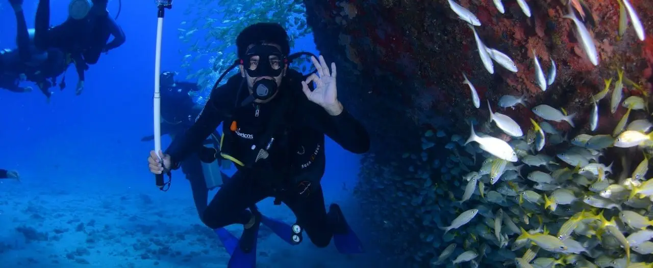 Diver underwater in scuba gear signals "OK" near a school of fish swimming alongside a rocky formation. Other divers are visible in the background.